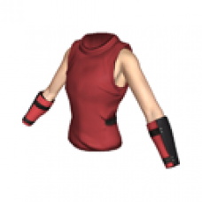 Ninja-Costume Top (Female)